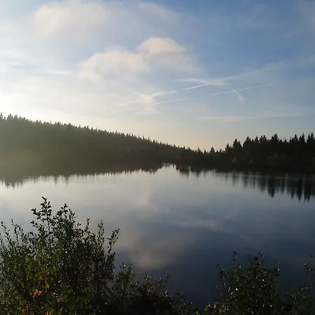 Holiday Home In Fichtelberg With Terrace * Fichtelberg