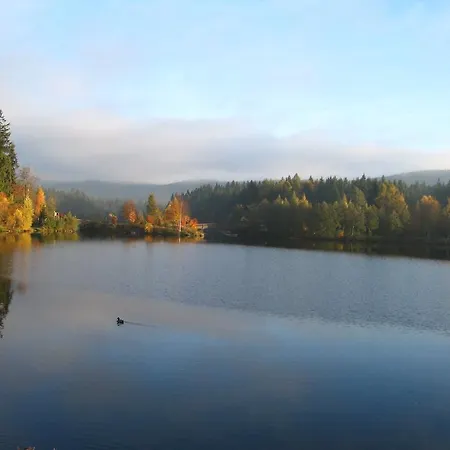 Holiday Home In Fichtelberg With Terrace Hébergement de vacances