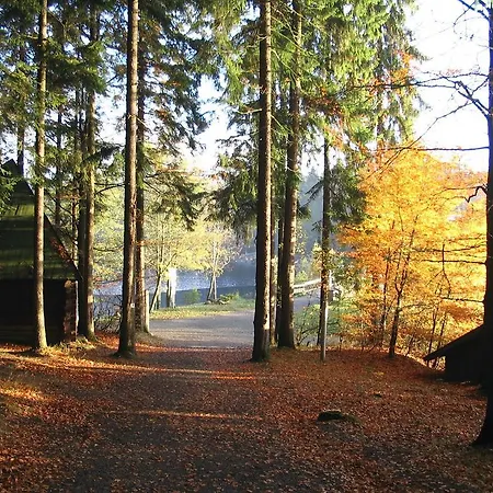 Hébergement de vacances Holiday Home In Fichtelberg With Terrace *