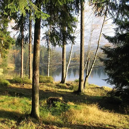 Holiday Home In Fichtelberg With Terrace Hébergement de vacances *