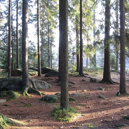 Holiday Home In Fichtelberg With Terrace * Fichtelberg