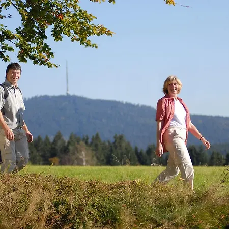 Holiday Home In Fichtelberg With Terrace Hébergement de vacances Fichtelberg