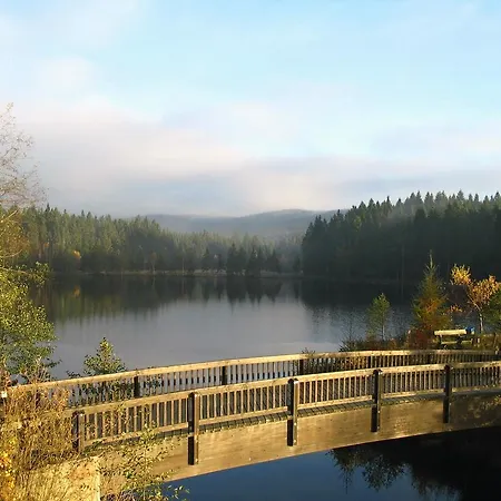 Holiday Home In Fichtelberg With Terrace Fichtelberg